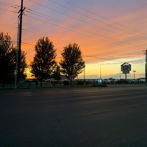 Meet your Posher, Bella